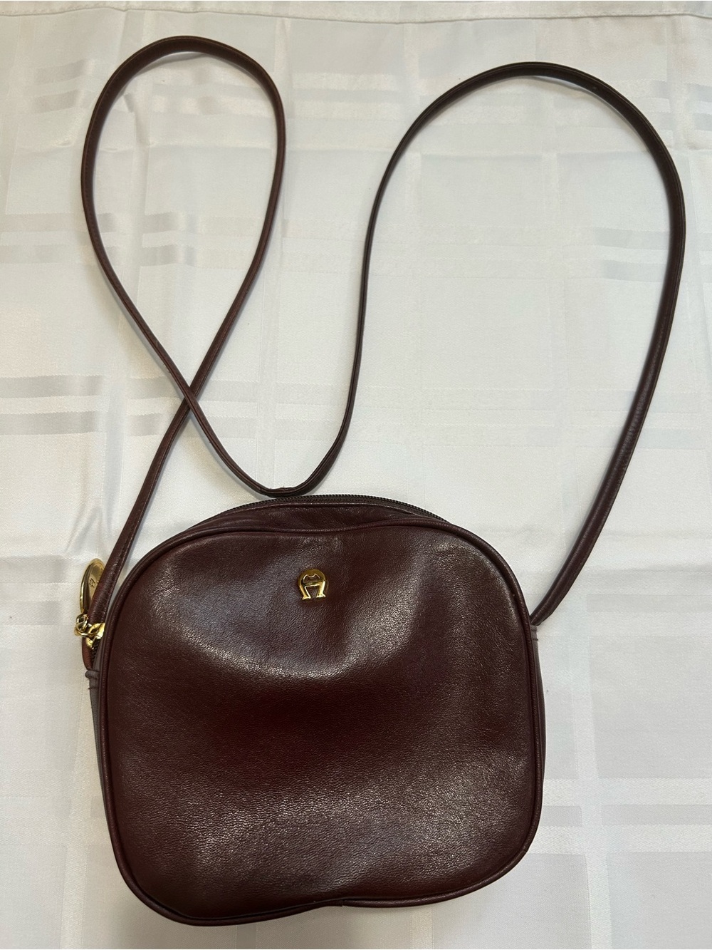 Etienne Aigner Dark Brown Leather Crossbody with Gold Accent